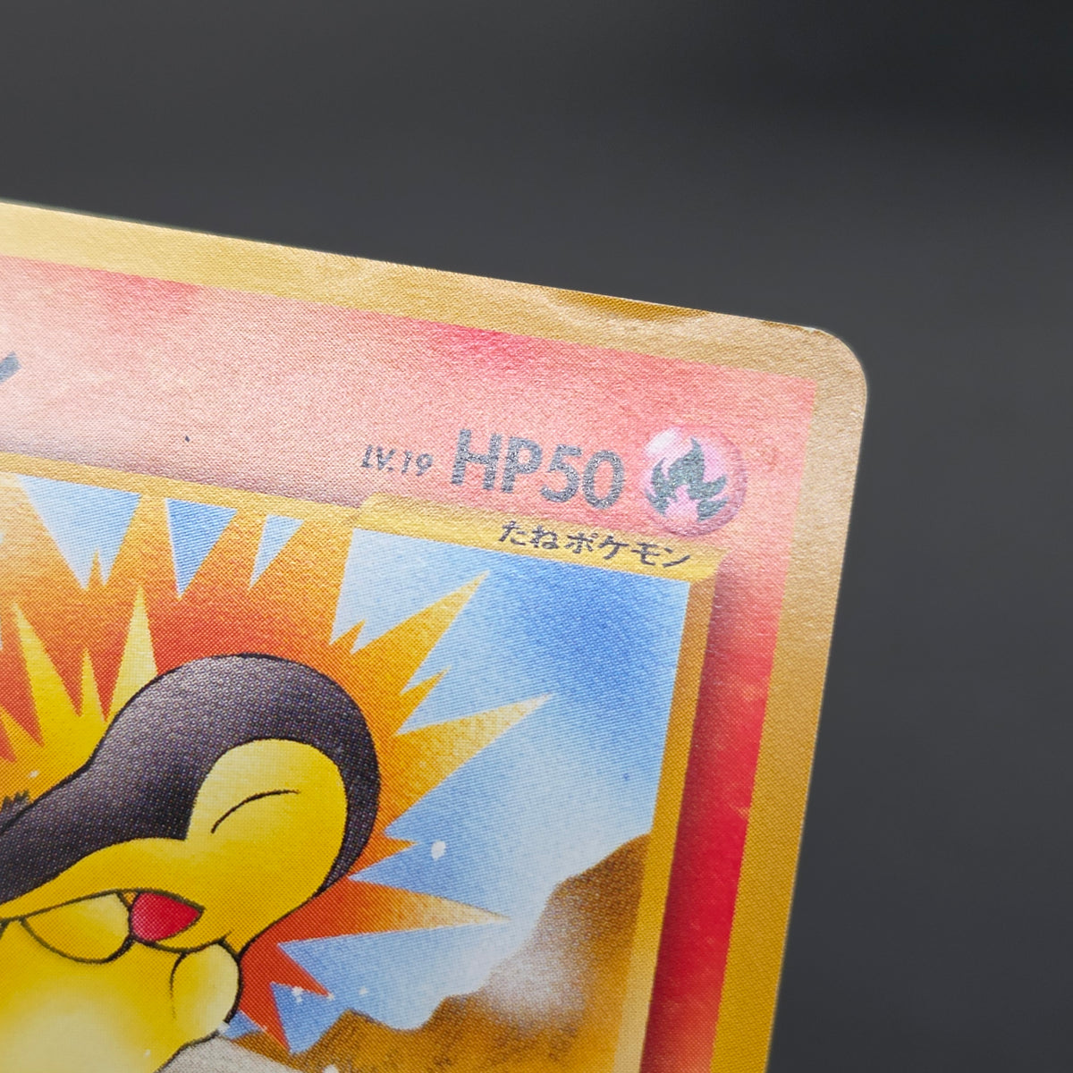 Cyndaquil 155 Intro Pack Neo Chikorita Deck Pokemon card