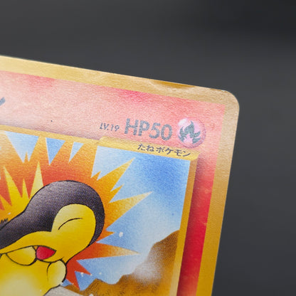 Cyndaquil 155 Intro Pack Neo Chikorita Deck Pokemon card