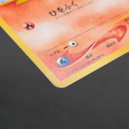 Cyndaquil 155 Intro Pack Neo Chikorita Deck Pokemon card