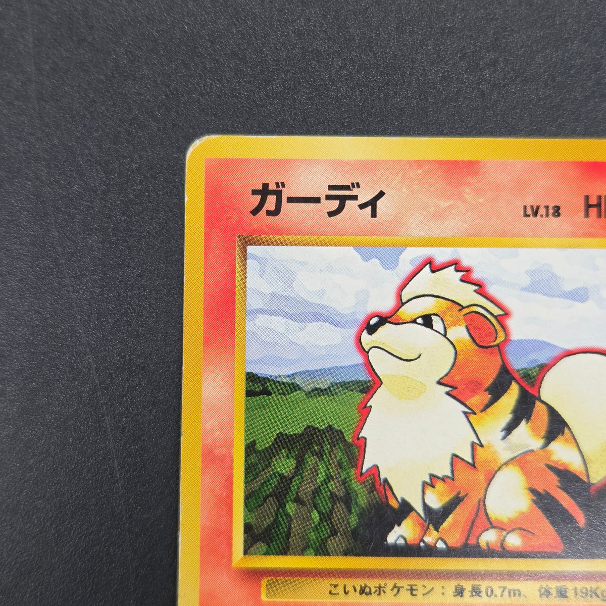 Growlithe 058 Intro Pack Squirtle Deck 29 Pokemon Card