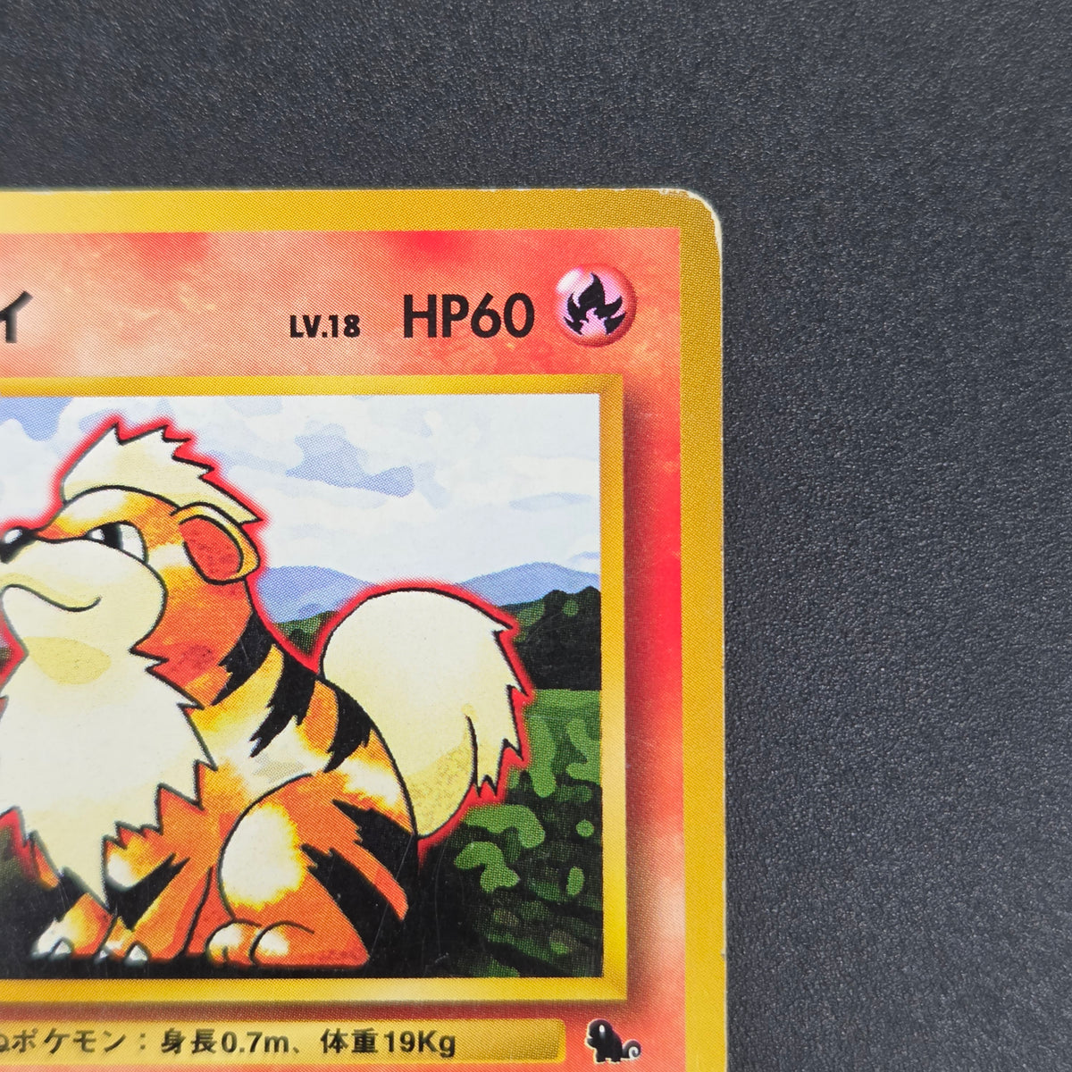 Growlithe 058 Intro Pack Squirtle Deck 29 Pokemon Card