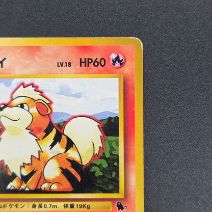 Growlithe 058 Intro Pack Squirtle Deck 29 Pokemon Card