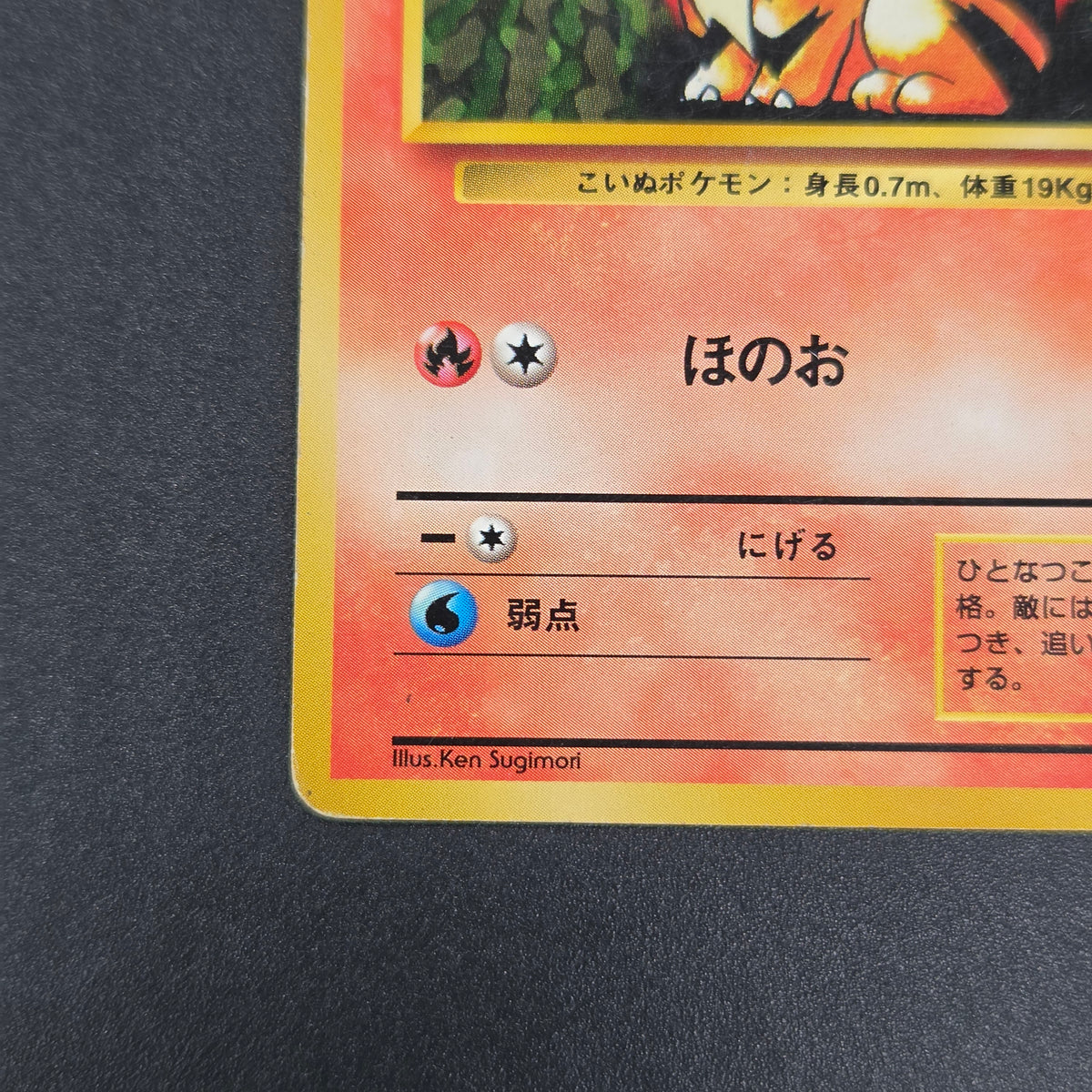 Growlithe 058 Intro Pack Squirtle Deck 29 Pokemon Card