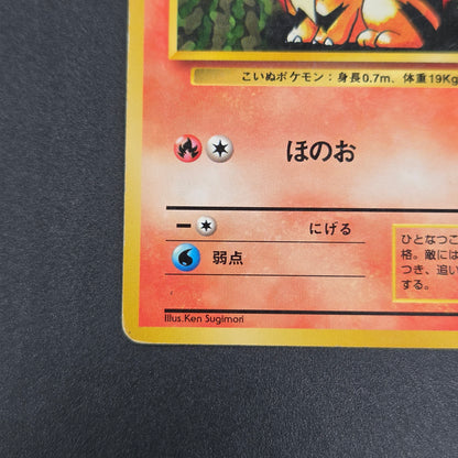 Growlithe 058 Intro Pack Squirtle Deck 29 Pokemon Card