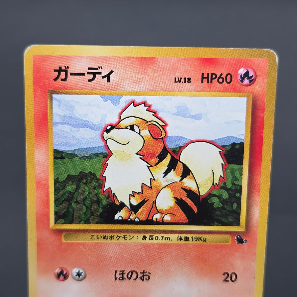 Growlithe 058 Intro Pack Squirtle Deck 29 Pokemon Card