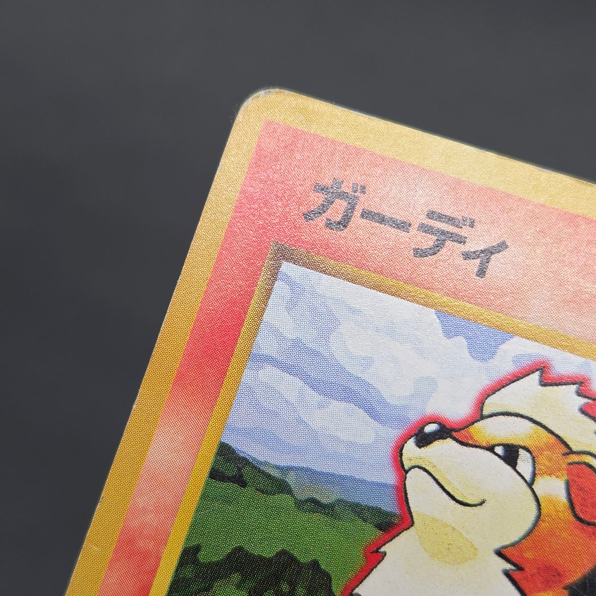 Growlithe 058 Intro Pack Squirtle Deck 29 Pokemon Card