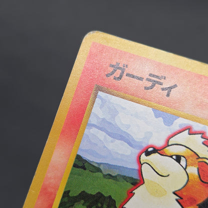 Growlithe 058 Intro Pack Squirtle Deck 29 Pokemon Card