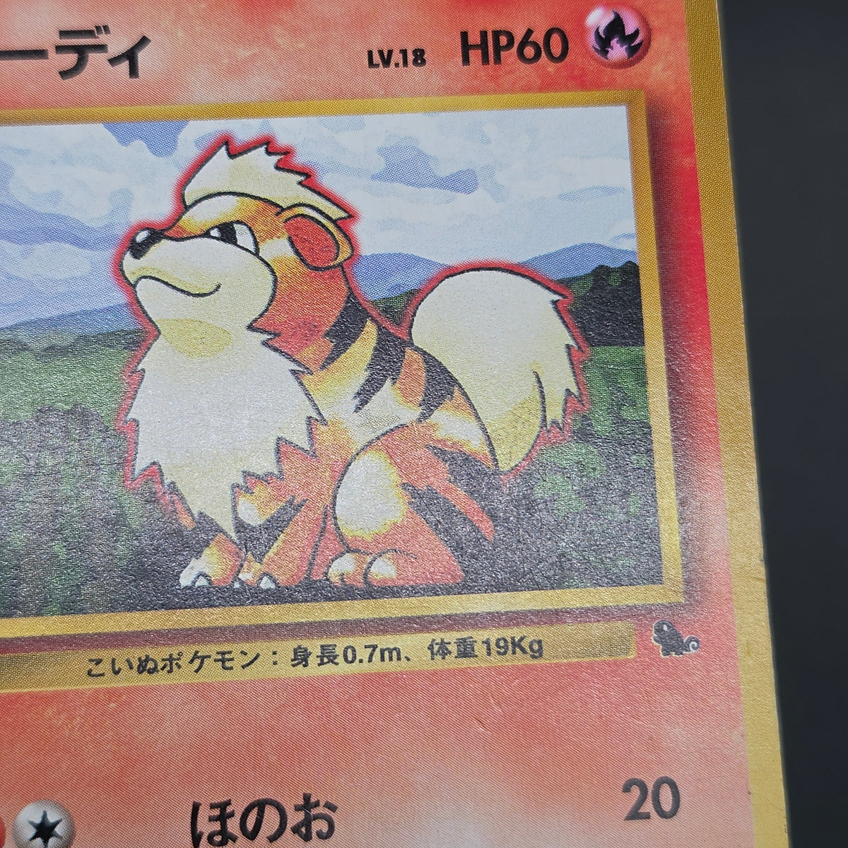 Growlithe 058 Intro Pack Squirtle Deck 29 Pokemon Card