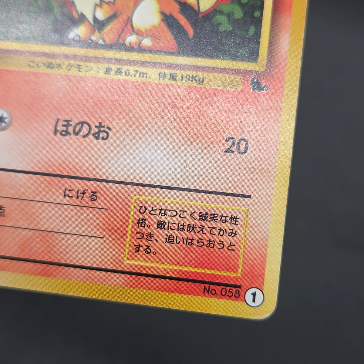 Growlithe 058 Intro Pack Squirtle Deck 29 Pokemon Card