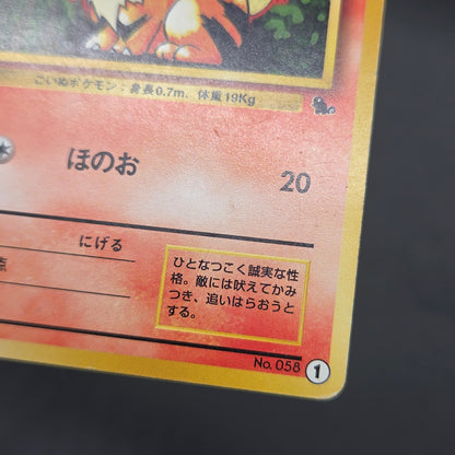 Growlithe 058 Intro Pack Squirtle Deck 29 Pokemon Card