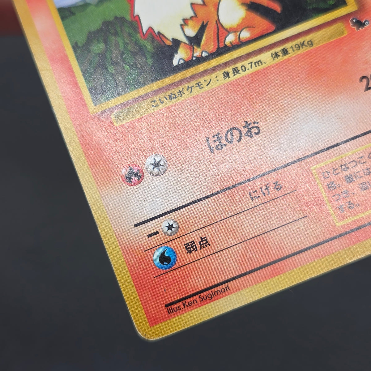 Growlithe 058 Intro Pack Squirtle Deck 29 Pokemon Card