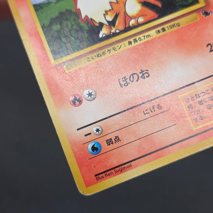 Growlithe 058 Intro Pack Squirtle Deck 29 Pokemon Card