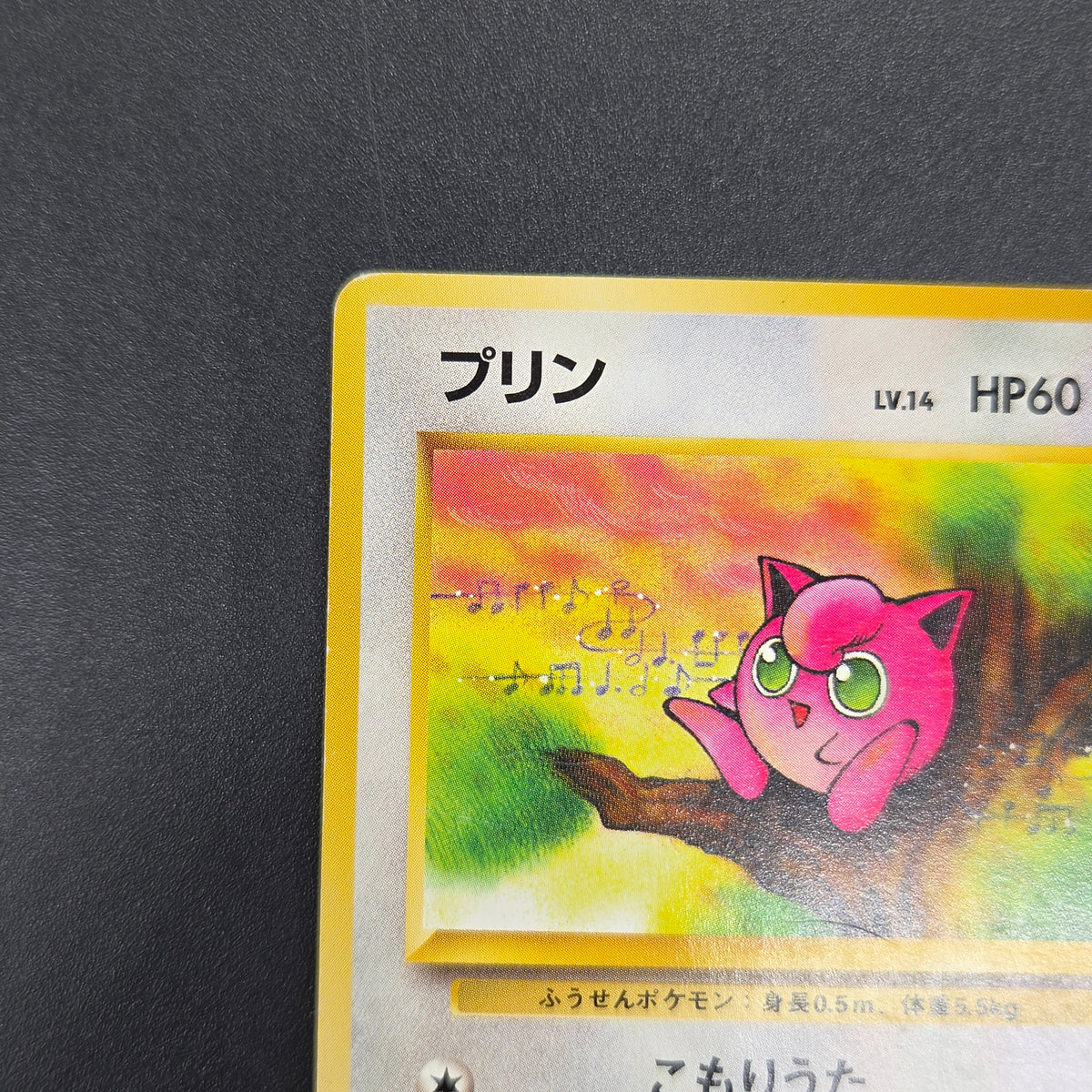 Jigglypuff 039 Intro Pack Squirtle Deck 29 Pokemon Card