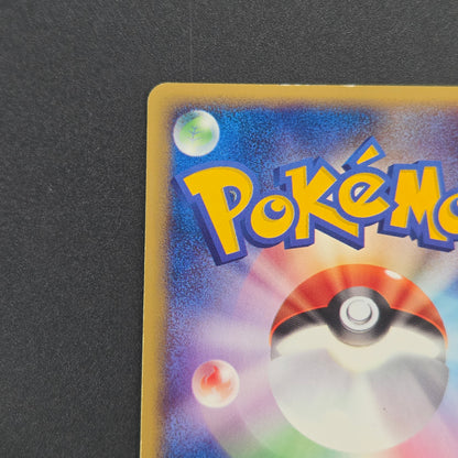 Pichu Bros. 028/P Guardian Movie Promo Pokémon Card