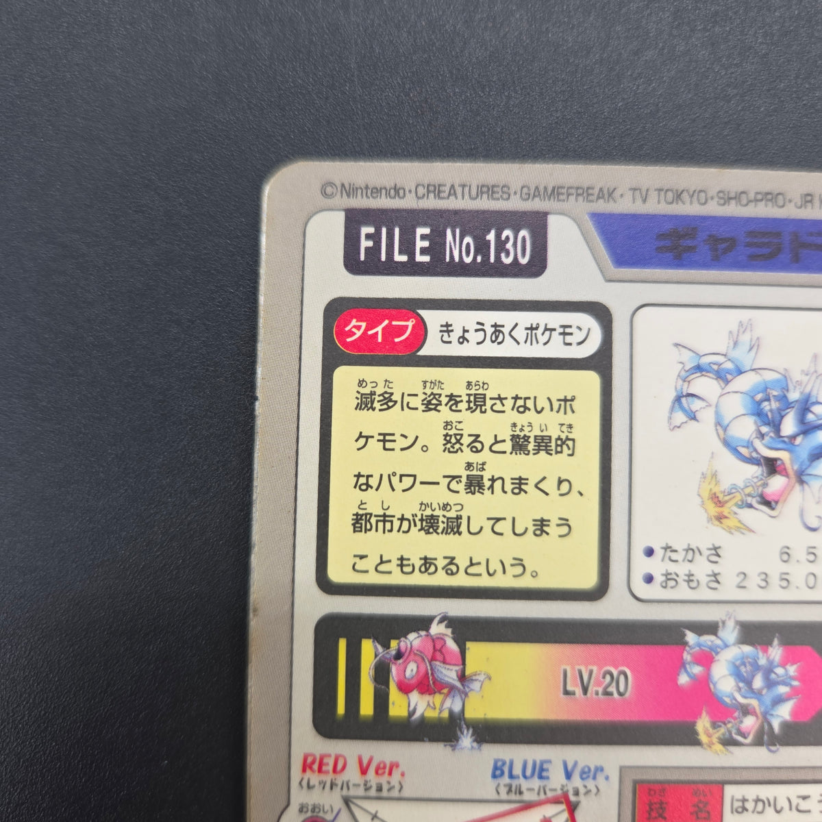 Gyarados File No. 130 Bandai Carddass Prism Pokémon Card