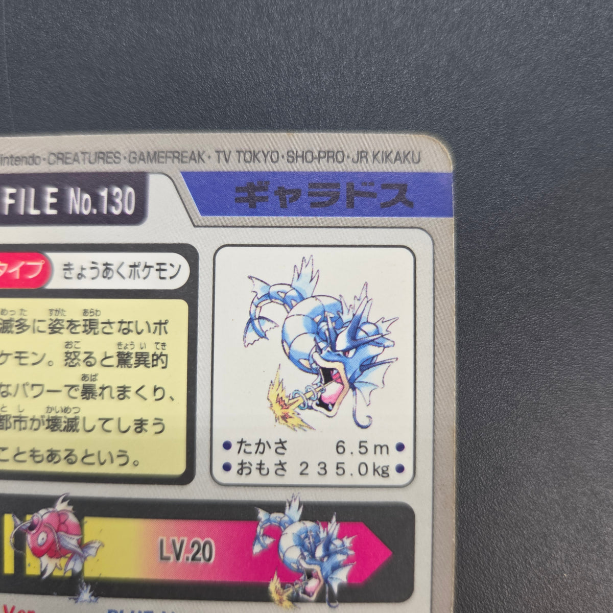 Gyarados File No. 130 Bandai Carddass Prism Pokémon Card