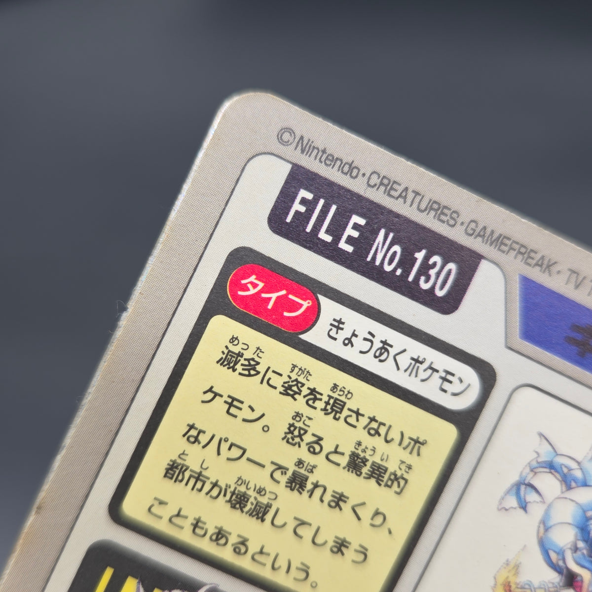 Gyarados File No. 130 Bandai Carddass Prism Pokémon Card