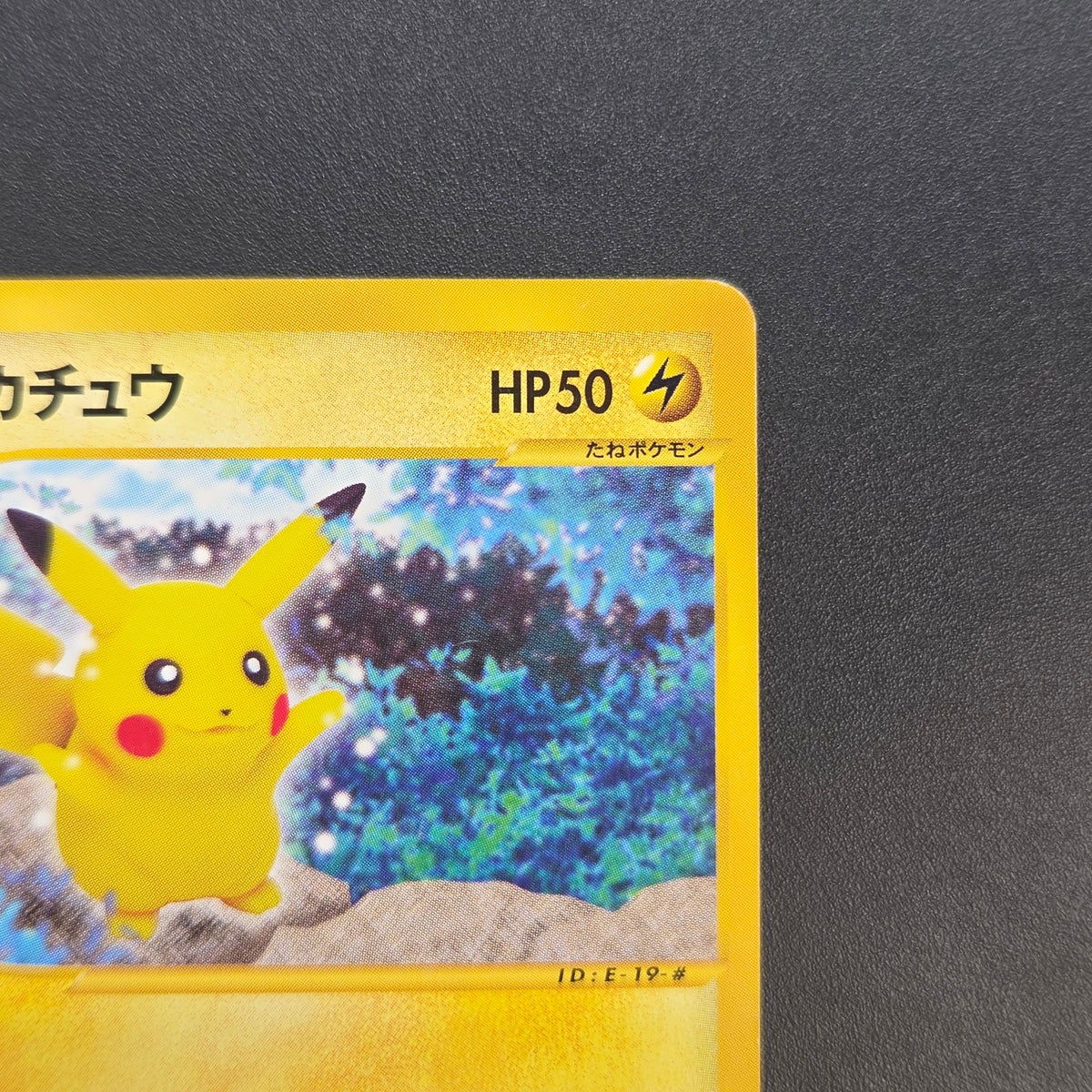 Pikachu 033/088 Split Earth e series Japanese Pokémon Card