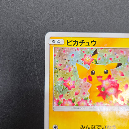Pikachu 224/SM-P Pokemon Center 20th Anniversary Card
