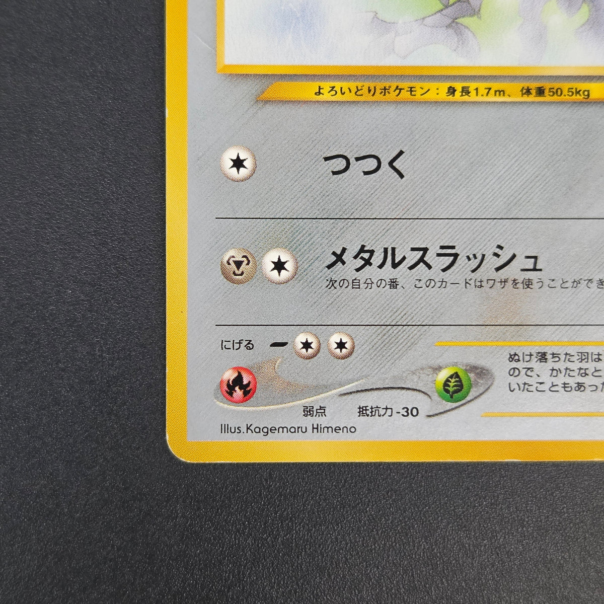 Skarmory 227 Neo Intro Pack Chikorita Deck Pokémon Card