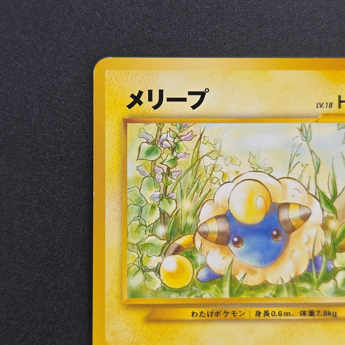 Mareep No. 179 Intro Pack Totodile Deck Pokémon Card