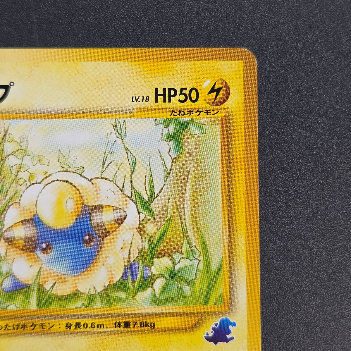 Mareep No. 179 Intro Pack Totodile Deck Pokémon Card