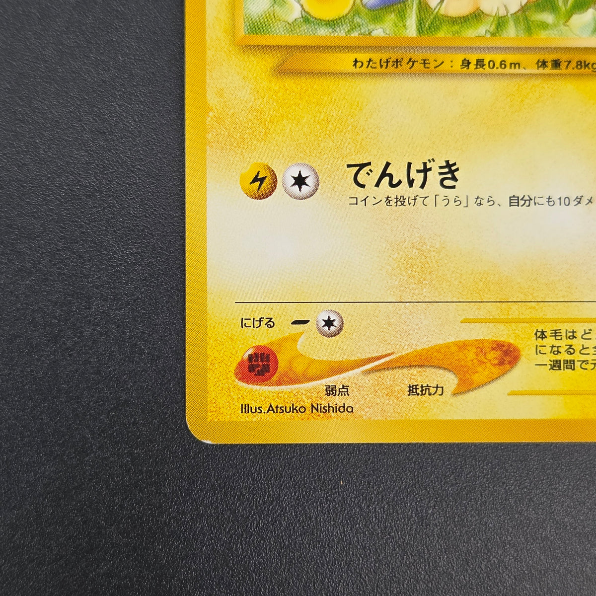Mareep No. 179 Intro Pack Totodile Deck Pokémon Card