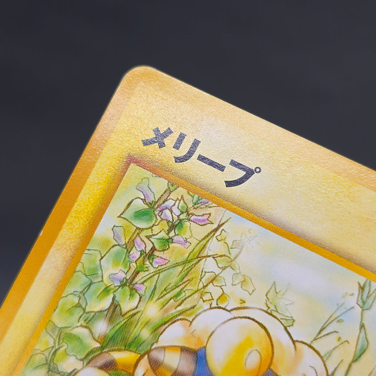 Mareep No. 179 Intro Pack Totodile Deck Pokémon Card