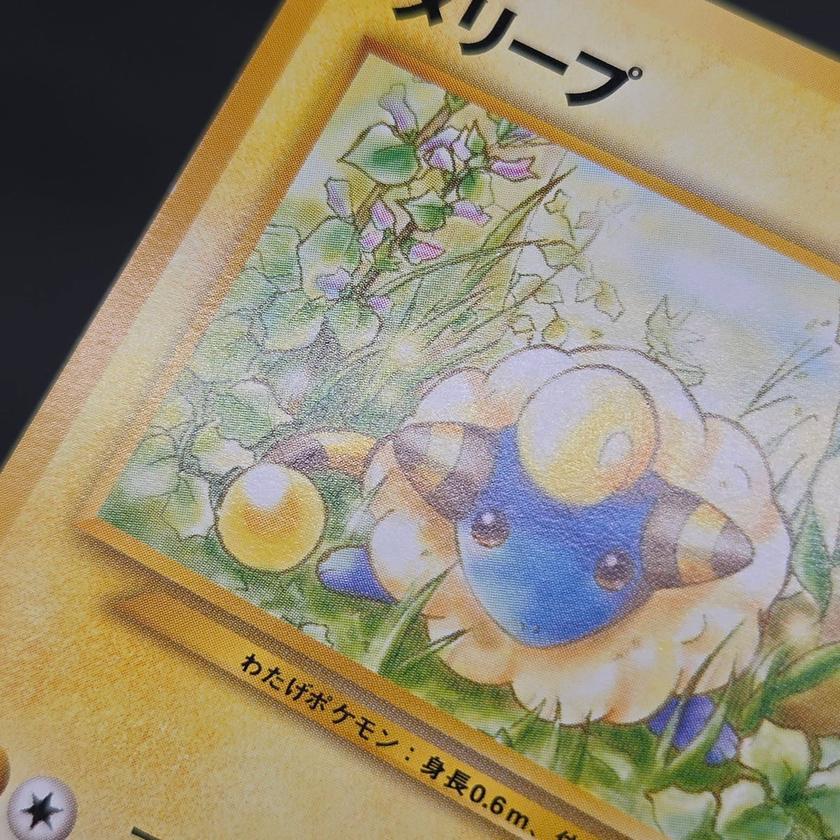 Mareep No. 179 Intro Pack Totodile Deck Pokémon Card