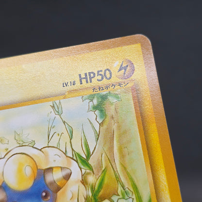 Mareep No. 179 Intro Pack Totodile Deck Pokémon Card