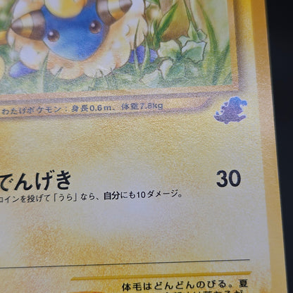 Mareep No. 179 Intro Pack Totodile Deck Pokémon Card