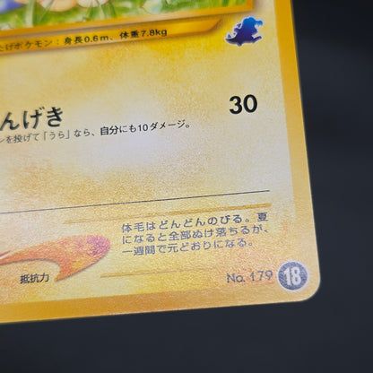 Mareep No. 179 Intro Pack Totodile Deck Pokémon Card