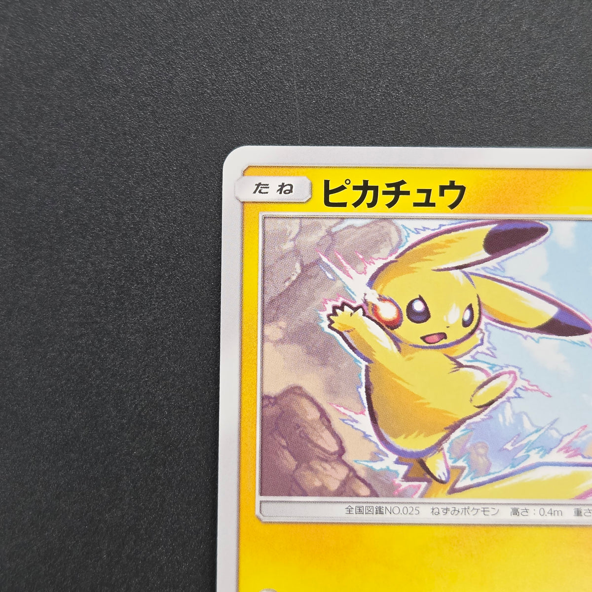 Pikachu 214/SM-P Promo Card Gym pack Japanese Pokemon Card