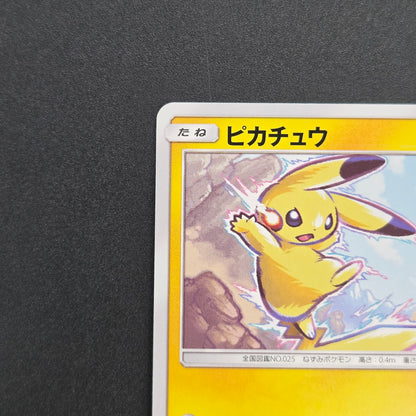 Pikachu 214/SM-P Promo Card Gym pack Japanese Pokemon Card
