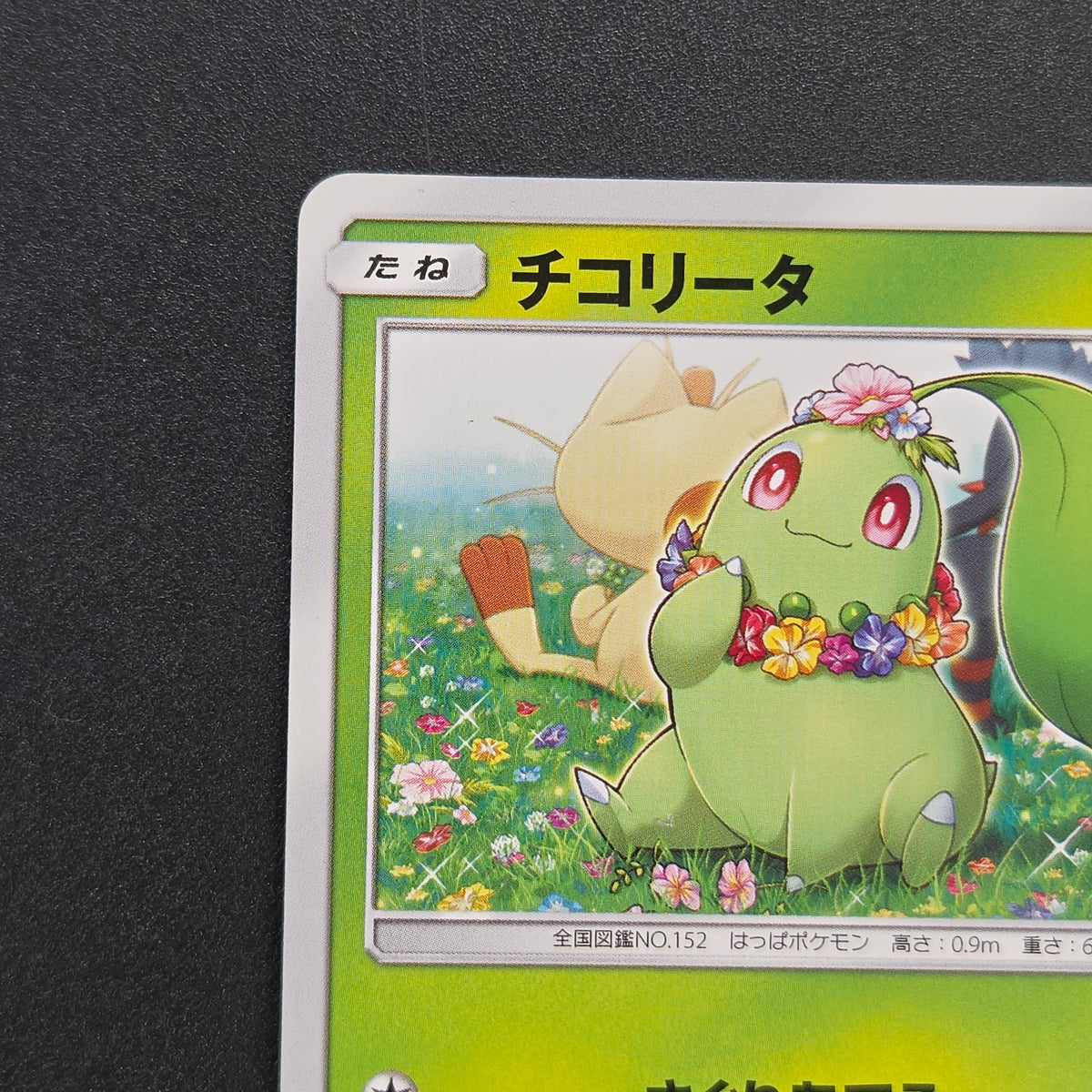 Chikorita 373/SM-P Promo Card Station event Pokemon Card