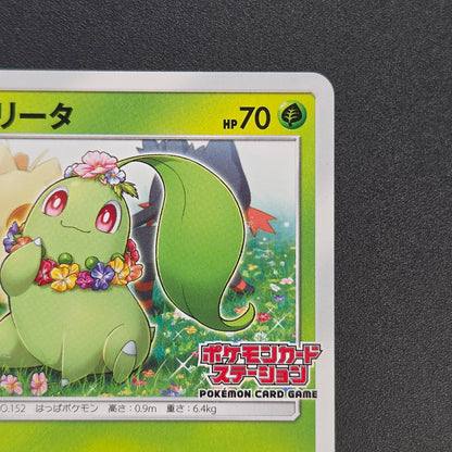 Chikorita 373/SM-P Promo Card Station event Pokemon Card
