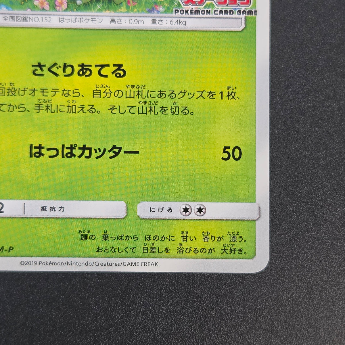 Chikorita 373/SM-P Promo Card Station event Pokemon Card