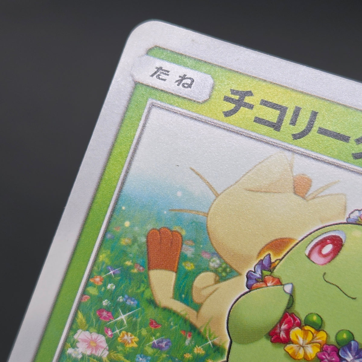 Chikorita 373/SM-P Promo Card Station event Pokemon Card