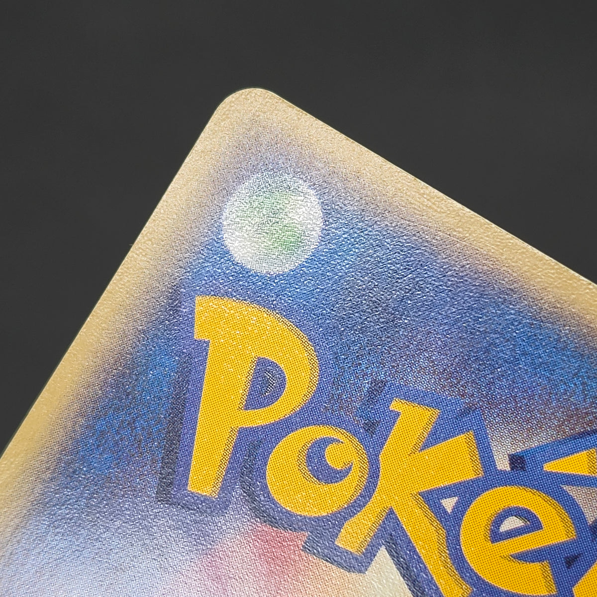 Butler's Salamence 011/019 VS Movie Promo Pokemon Card