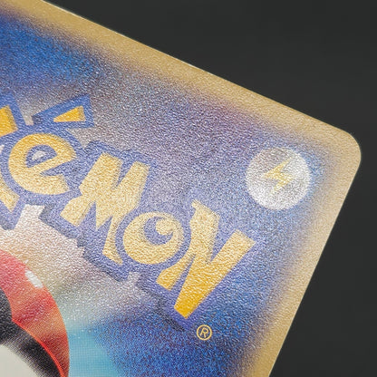 Butler's Salamence 011/019 VS Movie Promo Pokemon Card