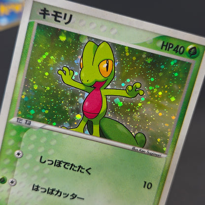 Mudkip 003/019 Torchic Treecko 3set Japanese Pokemon Card