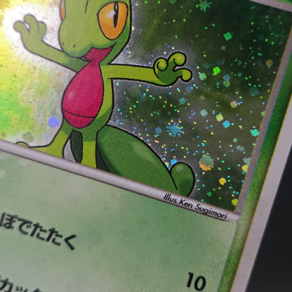 Mudkip 003/019 Torchic Treecko 3set Japanese Pokemon Card