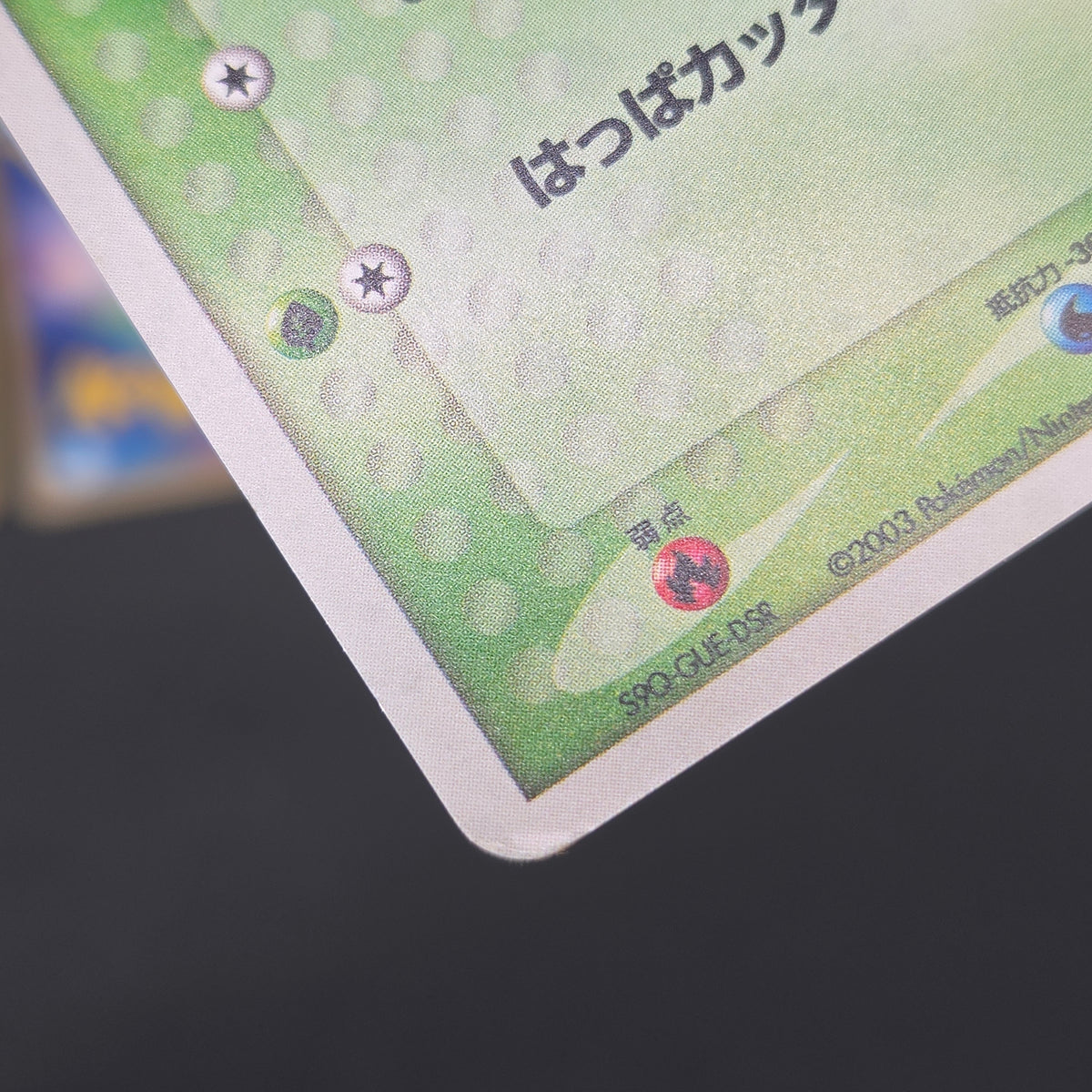 Mudkip 003/019 Torchic Treecko 3set Japanese Pokemon Card