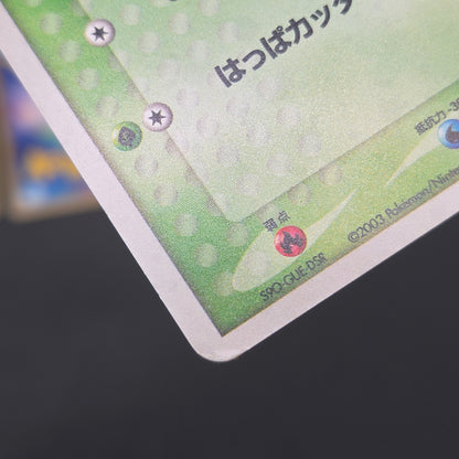 Mudkip 003/019 Torchic Treecko 3set Japanese Pokemon Card
