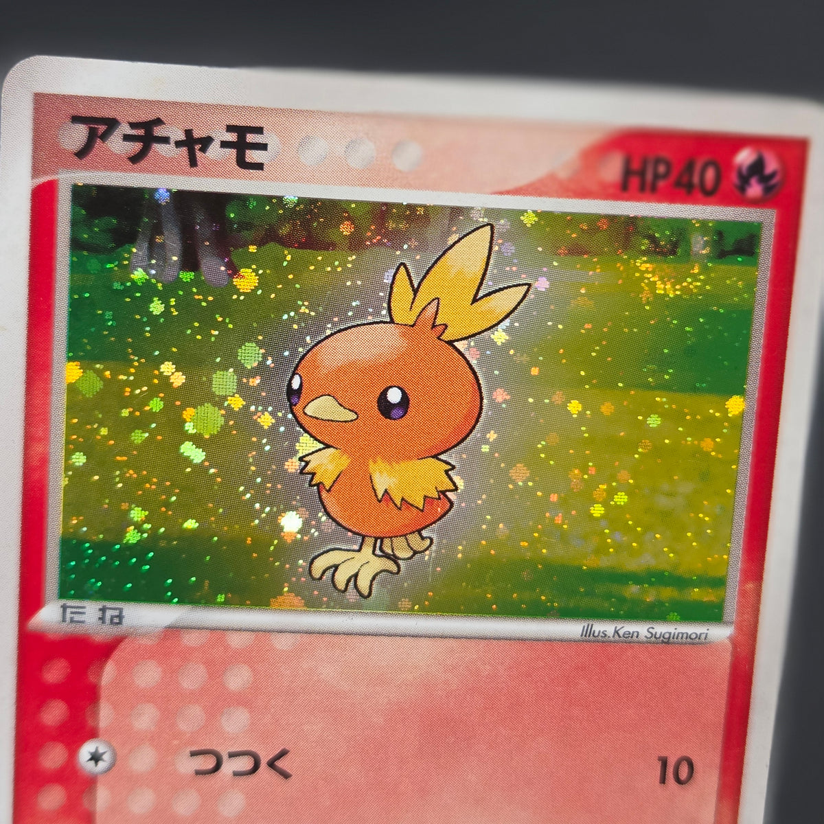 Mudkip 003/019 Torchic Treecko 3set Japanese Pokemon Card