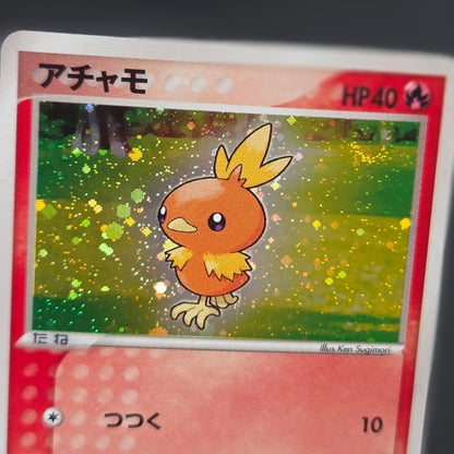 Mudkip 003/019 Torchic Treecko 3set Japanese Pokemon Card