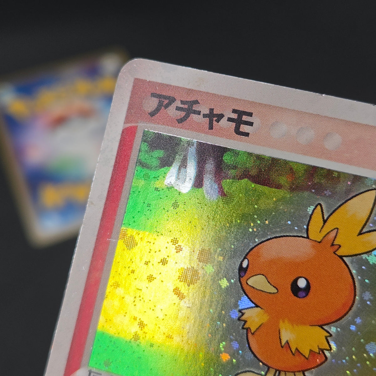Mudkip 003/019 Torchic Treecko 3set Japanese Pokemon Card