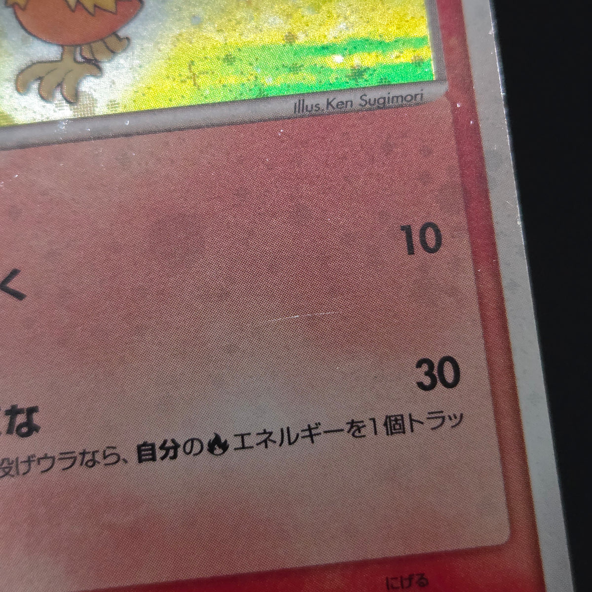 Mudkip 003/019 Torchic Treecko 3set Japanese Pokemon Card