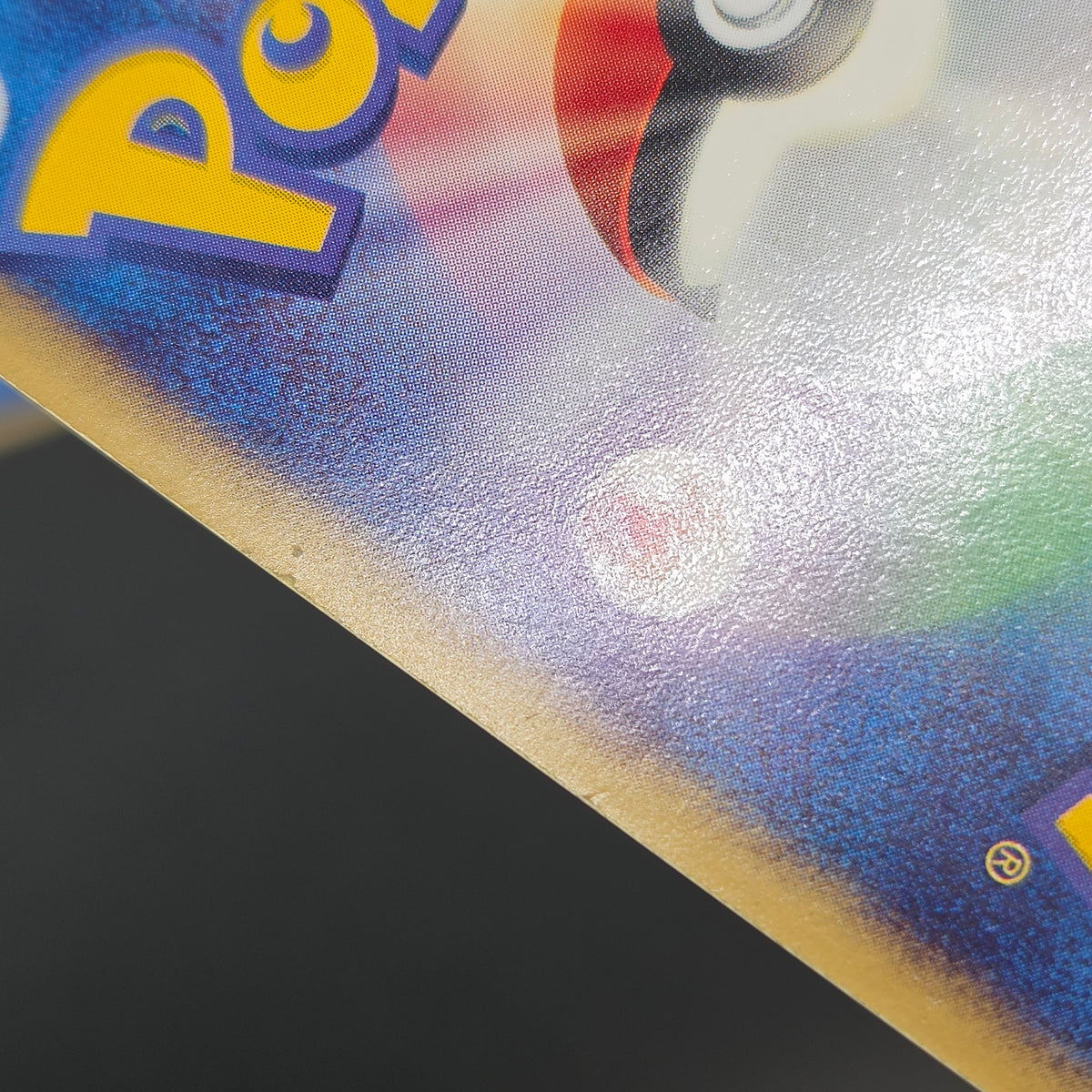 Mudkip 003/019 Torchic Treecko 3set Japanese Pokemon Card
