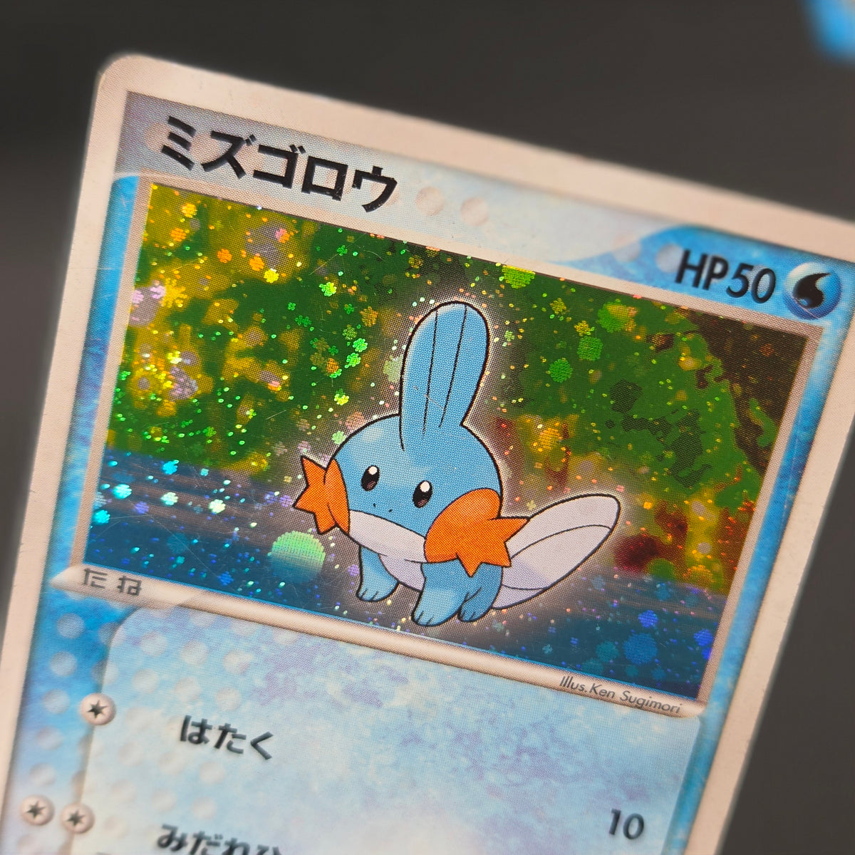 Mudkip 003/019 Torchic Treecko 3set Japanese Pokemon Card